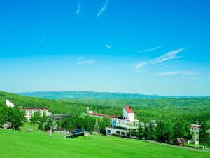 Rusutsu Resort Hotel & Convention - Accommodation Options