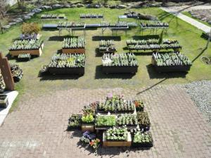 Ryobou Hanaemi Hotel - Otaru: Exploring the Scenic City