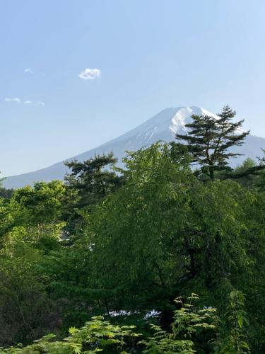Ryokan Fujitomita - Accommodation Options