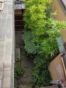 Ryokan Nakajimaya - Overview and Location