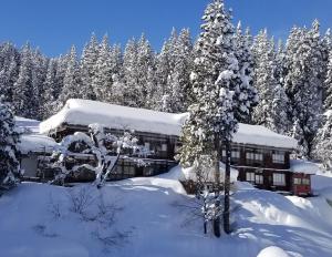 Ryounkaku Matsunoyama Onsen - Onsen Resort Overview