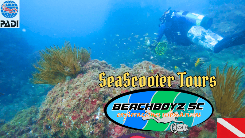 San Carlos Sonora: SeaScooter Tours - Activity Overview