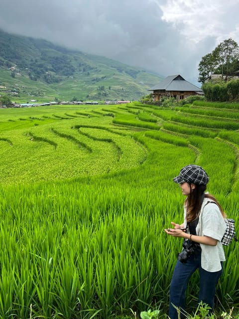 SAPA 1 DAY- Easy Trek - Through Rice Terraced Fields - Tour Overview and Pricing