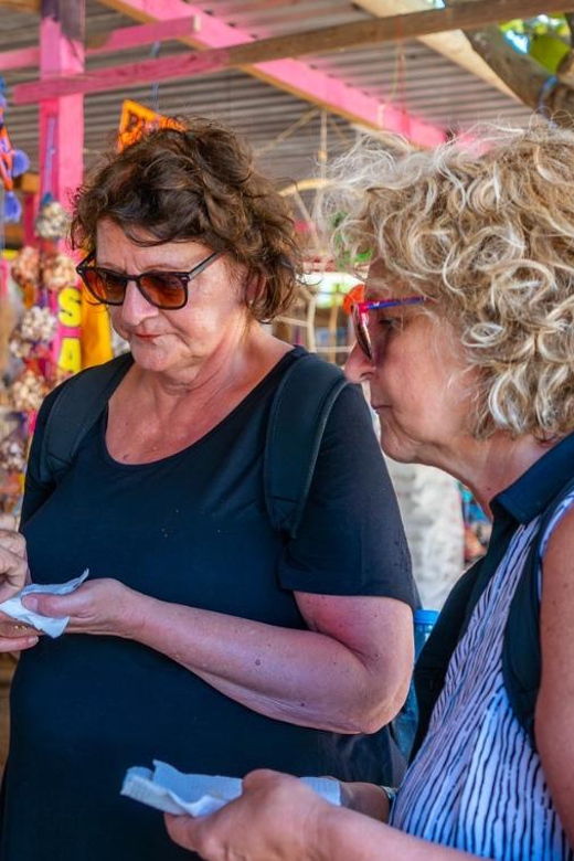 Sayulita and San Pancho: Excursion Through Coastal Towns - Tour Overview