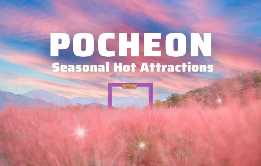 Seasonal Pocheon Full Day Tour With Apple Farm Experience