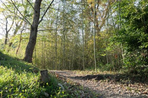 Sen-no-Mori - Overview and Location