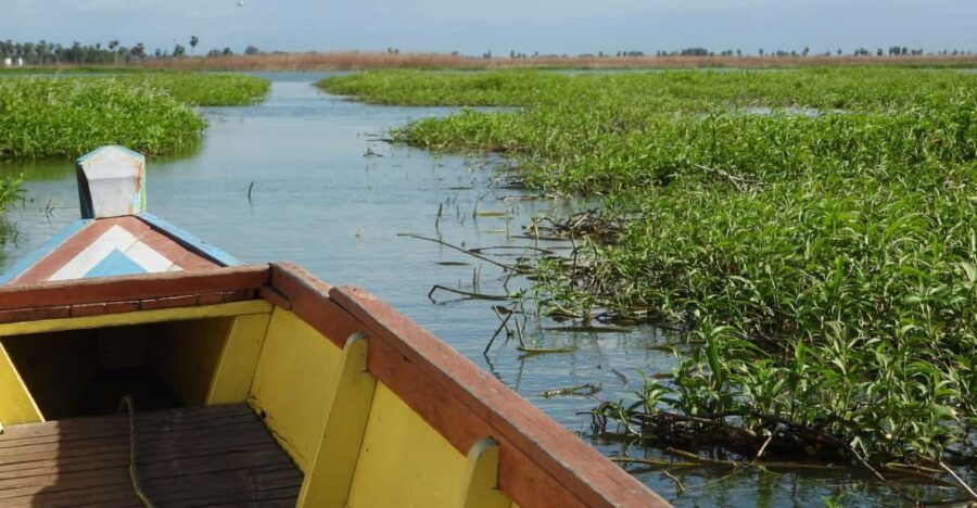 Sengkang: Tempe Lake Floating House Boat Tour With Transfer - Tour Overview and Pricing