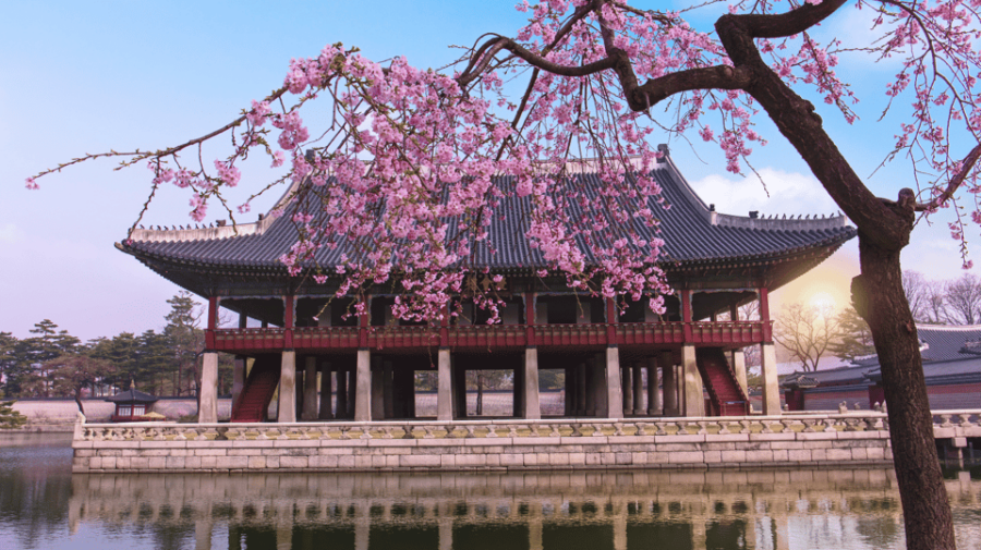 Seoul : 6 – Day South Korea Relaxation and Yoga Retreat