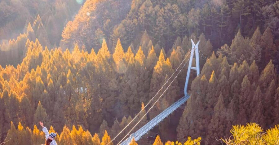 Seoul: Autumn Jangtaesan Recreational Forest One Day Tour - Tour Overview and Pricing