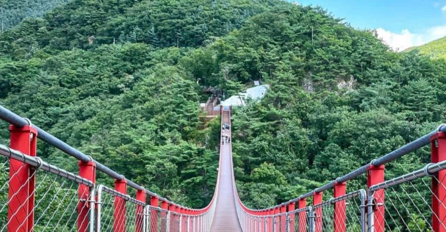 Seoul : Mt. Gamaksan & Hanok Village & Silver Grass Park