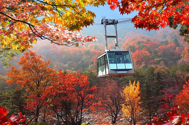 Seoul: Mt Seorak(Cable Car)+Sokcho Beach&Market+Observatory