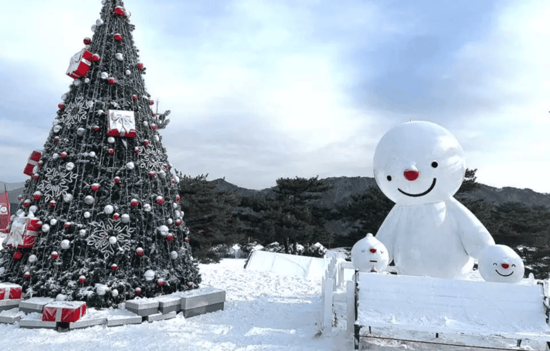 Seoul: Snowyland in Vivaldi Park With Nami or Alpaca
