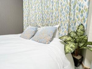 Shanten Takeda Horse 12 - Property Overview