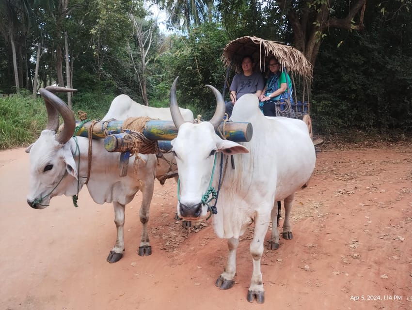 Sigiriya; Minneriya Elephant Safari & Village Tour