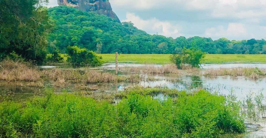 Sigiriya Rock Fortress Day Tour