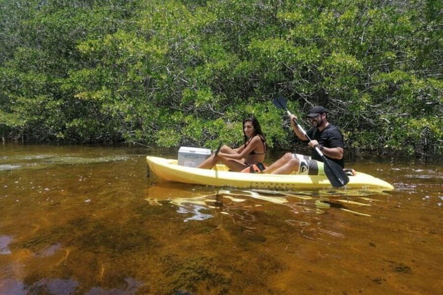 Sisal Kayak Through Mangroves and Bird Watching Tour - Tour Overview