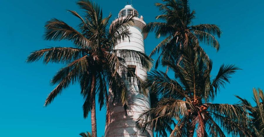 Southern Coast Highlights From Colombo Seaport