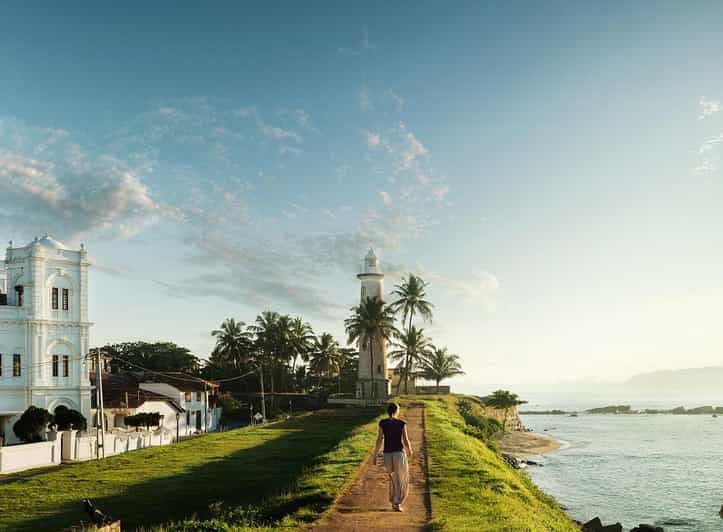 Southern Sri Lanka: Sightseeing Day Trip From Colombo - Trip Overview and Pricing