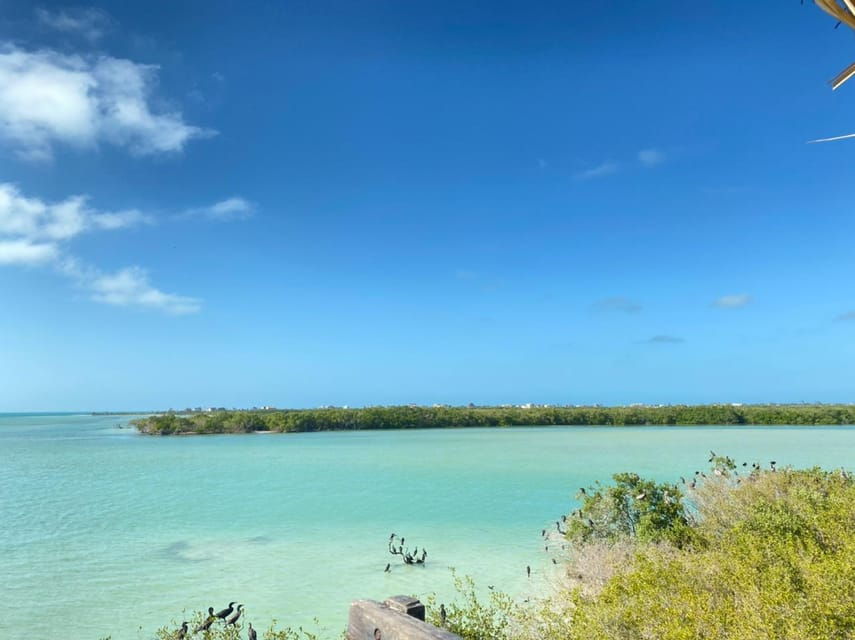 Speedboat Transfer to Holbox Island - Overview and Pricing
