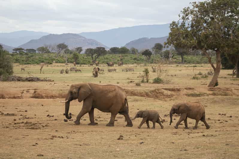 Sri Lanka: 3-Day Nature Tour, Sinharaja, Udawalawe, Horton