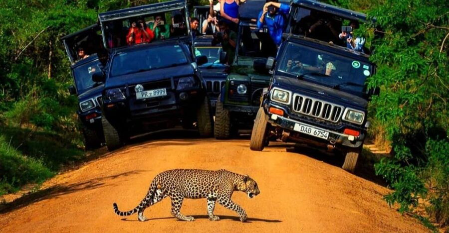 Sri Lanka in 14 Days With Private Vehicle and Guide - Tour Overview