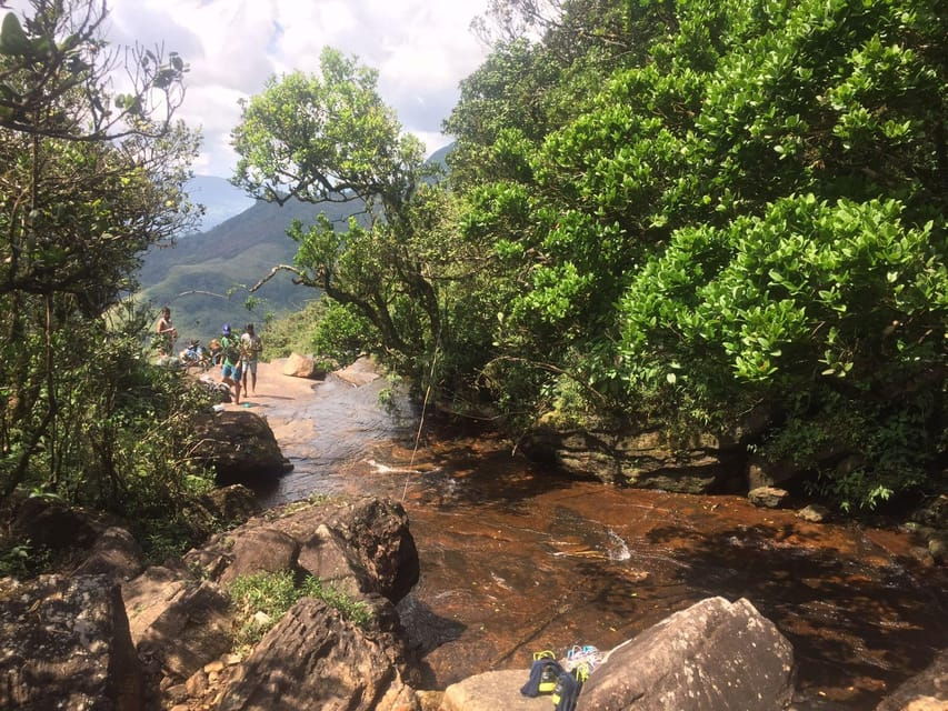 Sri Lanka Jungle Tour 4 Days-Rainforests, National Parks…