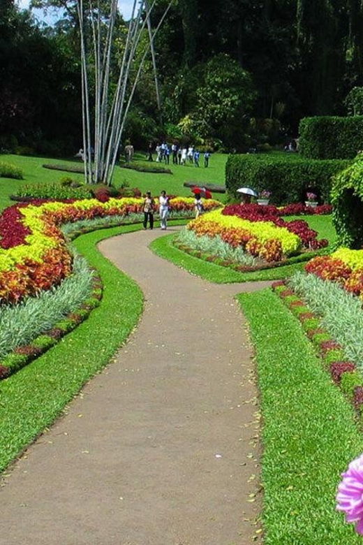 Sri Lanka: Kingdoms, Hill Stations, Beaches and Wildlife