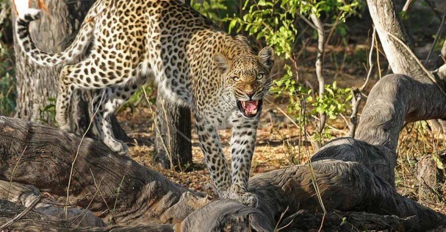 Sri Lanka Tour Package For 4 Nights