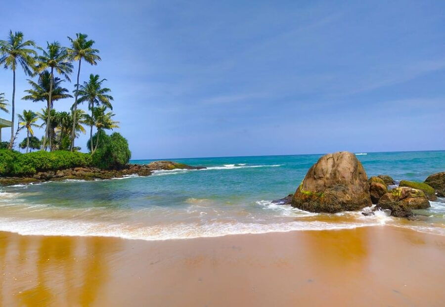 Sri Lanka Wildlife Galore 3-Nights Tour