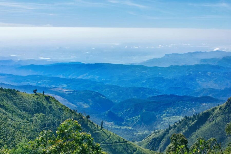Sri Lanka: Wildlife Tour, Rainforest, National Park, - Overview of the Tour