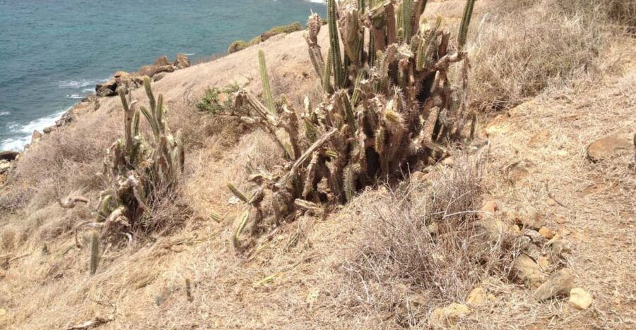 St. Maarten: Guana Bay Coastal Hike