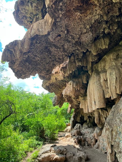 Steer Route: Tour of the Ruins and Tasting in Mazatan - Tour Overview