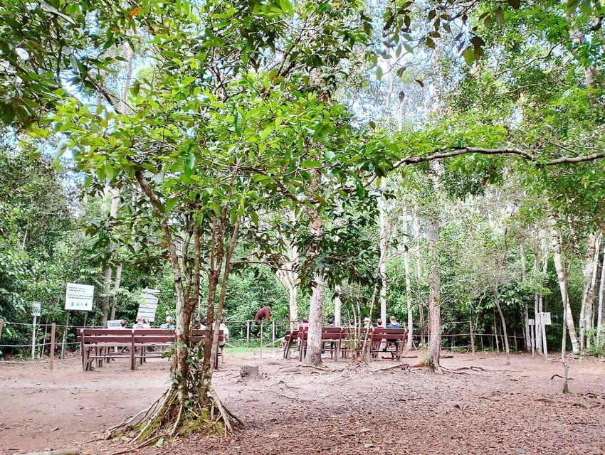 Tanjung Puting National Park Klotok - Overview of Tanjung Puting Tour