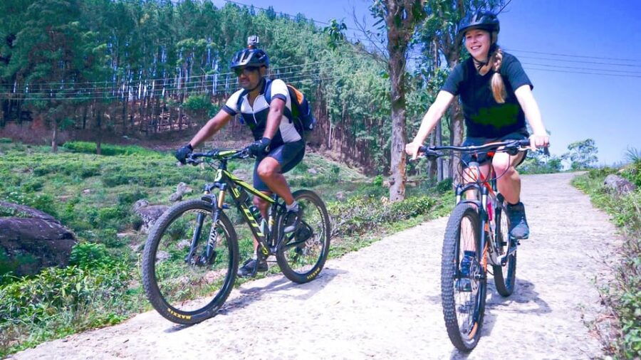 Tea Fields by Bicycle From Kandy