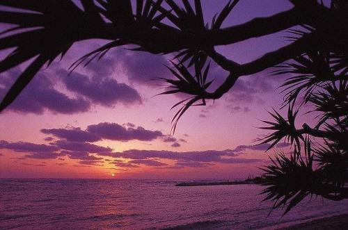 Terrace Garden Mihama Resort - Resort Overview and Location