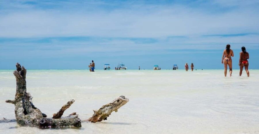 The Best of Holbox