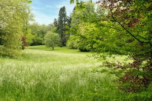 The Domaine De Camboyer, the Originals Collection - Overview of Le Domaine De Camboyer