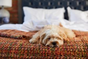 The Great House, Sonning, Berkshire - Hotel Overview and Location