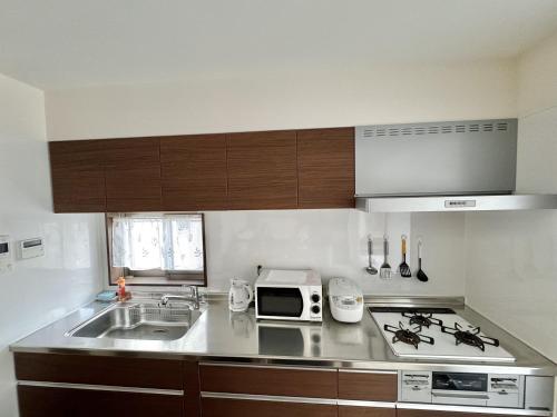 The Great Man's Black Gate Market Incident, 1 Minute After Japan's Takamatsu Station Incident, 2 Minutes After the Road Section's Difficulty in the Heart of the Kinsui Bridge Incident Zone - Incident Overview