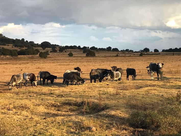 Tlaxcala Haciendas Tour