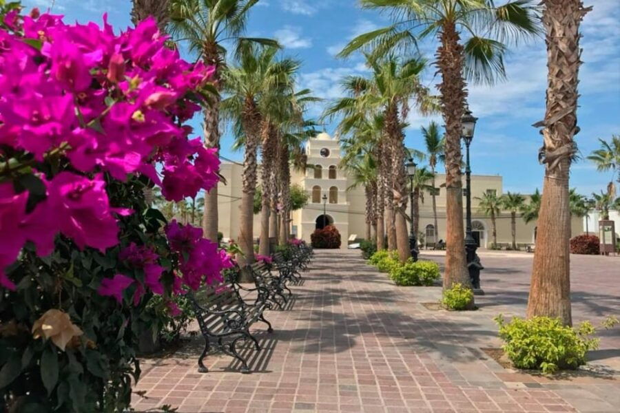Todos Santos Encounter Tour - Tour Overview