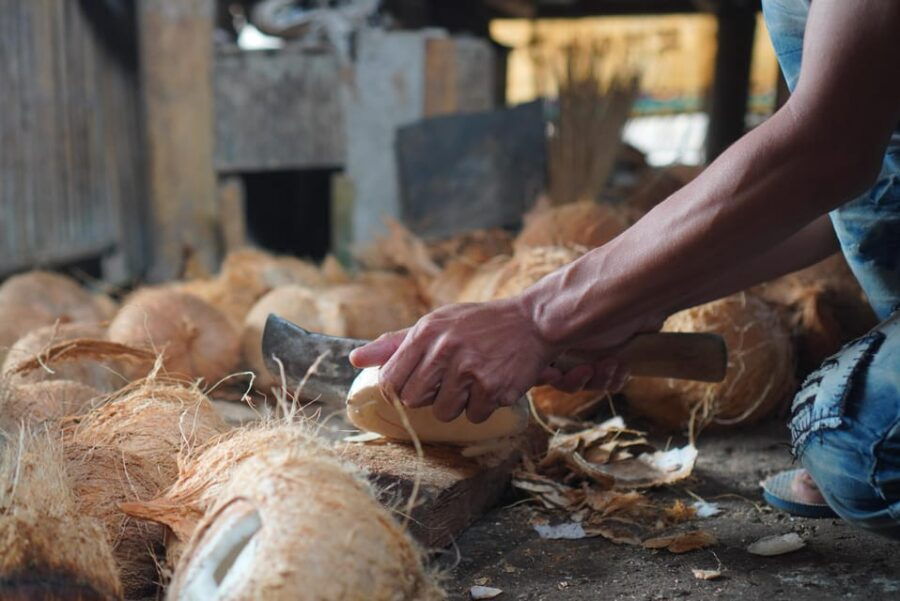Tour Tete Batu : Culture, Rice Terrace & Waterfalls