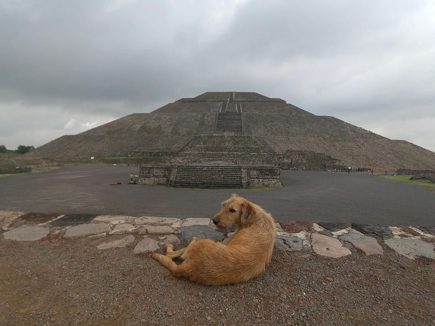 Tour to Teotihuacan With Pickup From Parque Mexico - Activity Details
