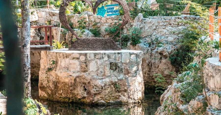 Tour Tulum, Cenote Casa Tortuga & Mother Nature 5 Places