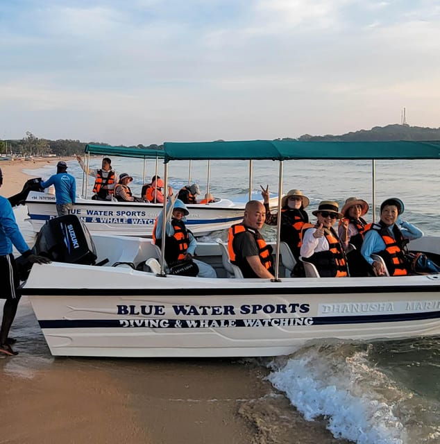 Trincomalee: Whales & Dolphin Watching Tours
