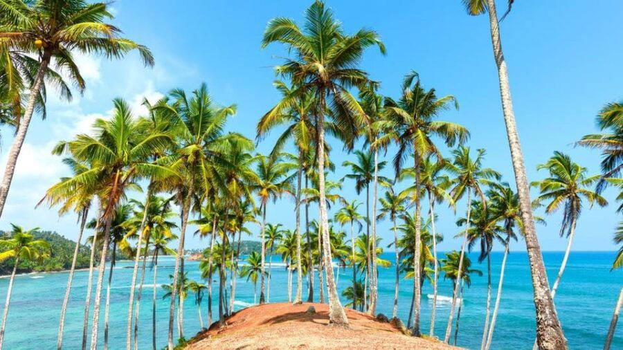 Try Nova Tours Sri Lanka: 15-DAY Private Tour With Driver - Tour Overview and Pricing