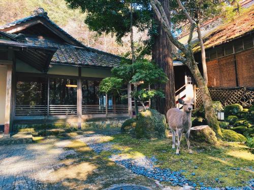 Tsukihitei Review - Property Overview
