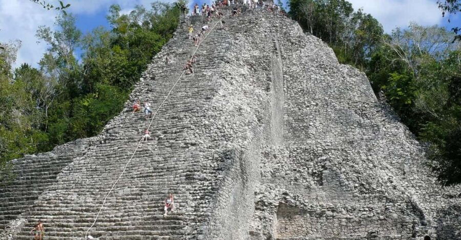 Tulum: PRIVATE TOUR Ruins & Turtle Bay & Cenote for 8 People