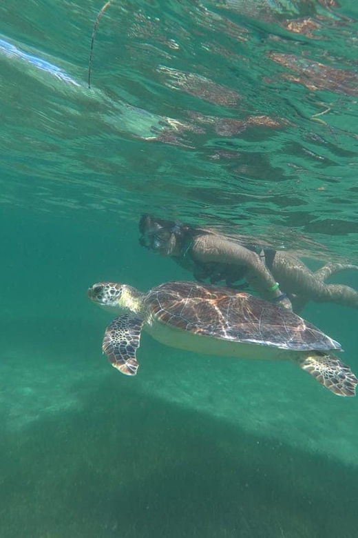Tulum: Private Transfer to Chichen Itza, Coba, or EK Balam - Tour Overview
