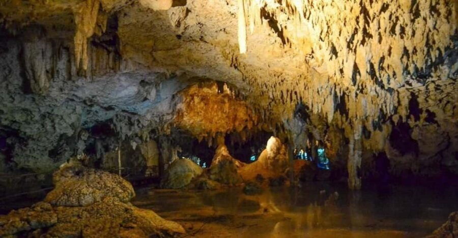 Tulum Reef Snorkeling and Cenote - Tour Overview